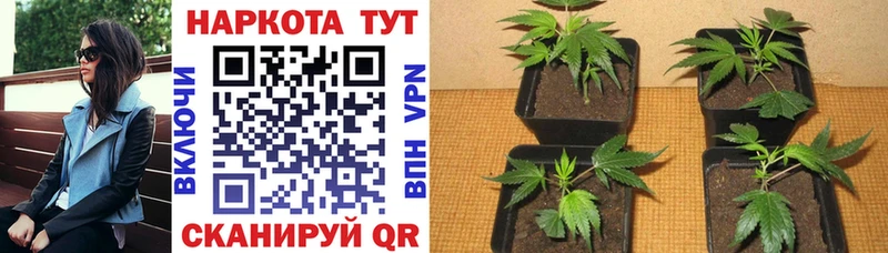 Цена Кизел COCAIN  Канабис  Мефедрон  А ПВП  ГАШ 