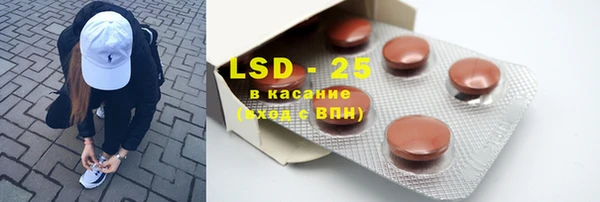 PSILOCYBIN Алзамай