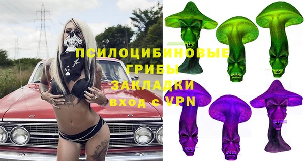 PSILOCYBIN Алзамай