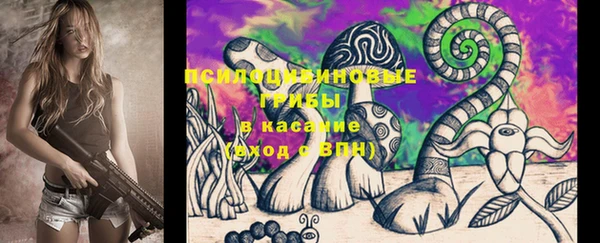 PSILOCYBIN Алзамай
