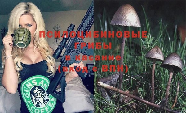 хмурый Алексеевка