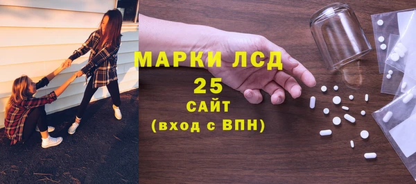 PSILOCYBIN Алзамай