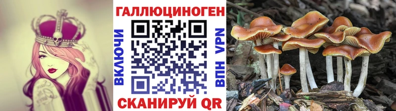 Псилоцибиновые грибы прущие грибы  Кизел 